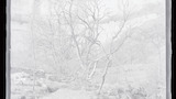 Malham