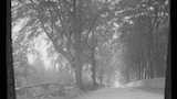 East Horsley, Surrey