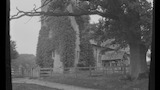 Ockley, Surrey