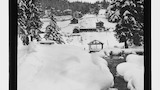 Arosa