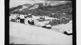 Arosa