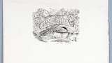 Packhorse Bridge at Birstwith, original drawing  used in "Yorkshire Tour" (1939), page 172