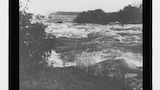 Crest of E. Falls in flood
