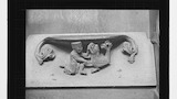 Misereres, Exeter [Cathedral]