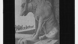 Gargoyle, Notre Dame, Paris