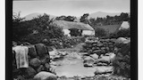 Roe-wen