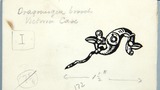 Dragonesque brooch. Original drawing used in "The Wonders of Yorkshire" (1959), page 172