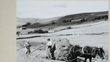 Mr and Mrs Jack Thwaite and Molly, Mouse Syke, Grisedale, leading hay with a sledge. Image used for one of the photographic illustrations in "Life and Tradition in the Yorkshire Dales" (1968), plate 136