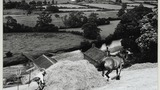 Mr S. and Mr F. Woof and Blossom, Woodbridge Farm, Dent, pulling the rope tight over a sledge load of hay (c.1952). Image used for one of the photographic illustrations in "Life and Tradition in the Yorkshire Dales" (1968), plate 135