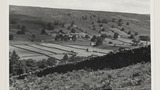 Field Wall Systems on Reeth Low Moor
