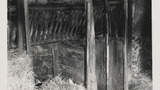 Cow Barn at Roan Farm: Interior