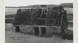 Thatched Cow Barn