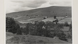 Common Pasture at Gunnerside