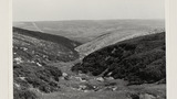 Mining Landscape: Cogden Moor