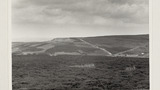 Mining Landscape: Cogden Moor
