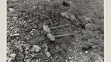 Mine Shaft: Stang Mines