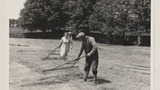 Haymaking by Hand: Nag Rake