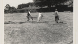 Haymaking by Hand: Nag Rake