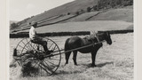 Haymaking: Horse Rake