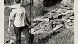 Wooden Yoke
