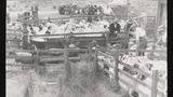 Sheep Dipping: Redmire Moor