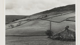 Field Wall Systems at Keld