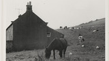 Common Hill Pasture at Gunnerside