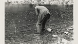 Eel Fishing on the River Ure