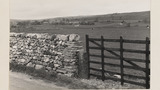 Dry Stone Wall with Gate Opening