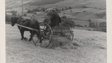 Haymaking: Horse Rake