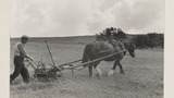 Haymaking: Single Horse Mower