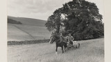 Haymaking: Single Horse Mower