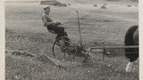 Haymaking: Single Horse Mower
