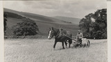 Haymaking: Single Horse Mower