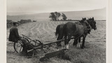 Haymaking: Double Horse Mower