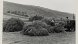 Haymaking: Hay Sweep and Hay Sledges