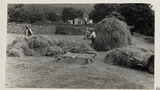 Haymaking: Loading the Hay Sledge