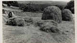 Haymaking: Loading the Hay Sledge