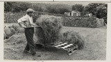 Haymaking: Loading the Hay Sledge