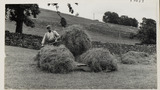 Haymaking: Loading the Hay Sledge