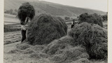 Haymaking: Loading the Hay Sledge