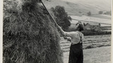 Haymaking: Loading the Hay Sledge