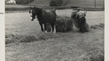 Haymaking: Loading the Hay Sledge