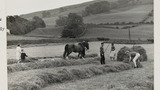 Haymaking: Loading the Hay Sledge