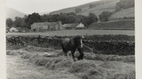 Haymaking: Hay Sledge