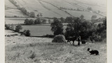 Haymaking: Hay Sledge