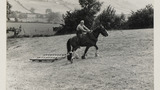 Haymaking: Hay Sledge