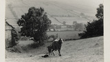 Haymaking: Hay Sledge