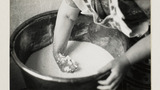 Cheesemaking: Breaking up the Cheese Mixture