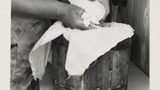 Cheesemaking: Crumbling the Curd